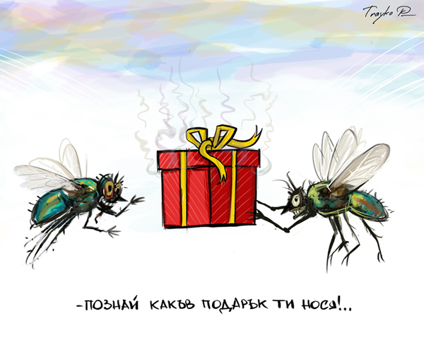 fly_birthday.jpg