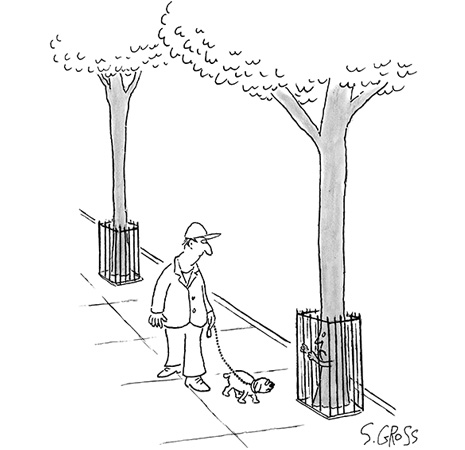 New Yorker.jpg