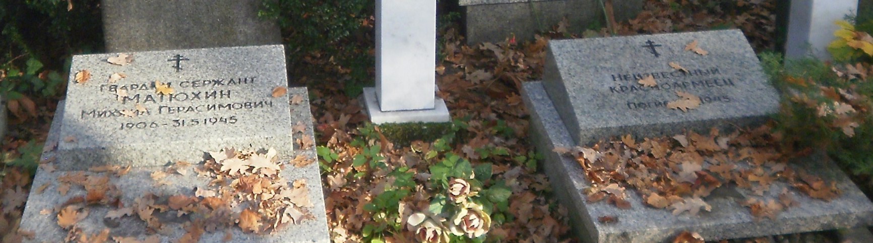 PB060034.JPG