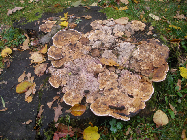 P9292940.JPG