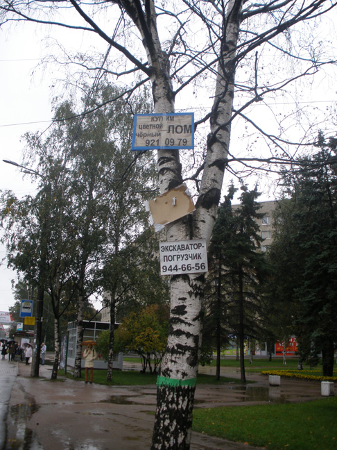 P9232657.JPG