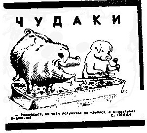 pig.jpeg