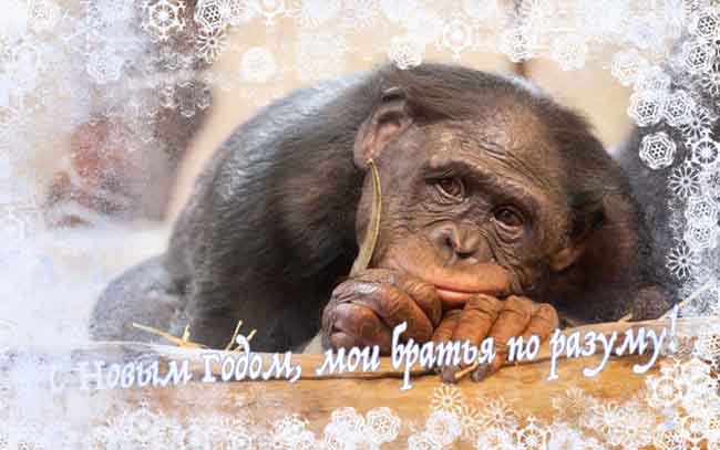 ----------- 2016 2.jpg